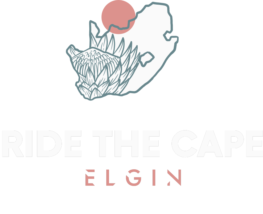 elgin stacked